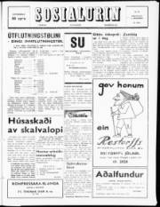 Síða 1