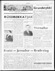 Síða 3