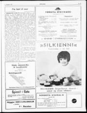 Síða 5