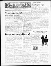 Síða 8