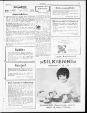 Síða 3