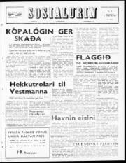 Síða 1