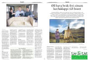Síða 12