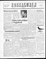 Síða 1