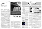 Síða 8