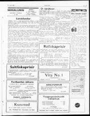 Síða 3