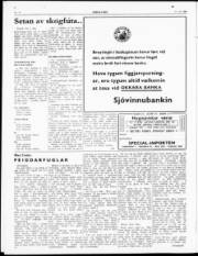 Síða 2