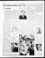 Síða 5