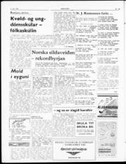 Síða 2