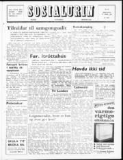 Síða 1