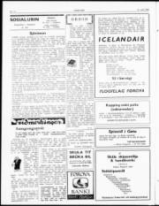 Síða 2