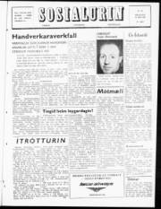 Síða 1