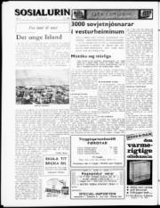 Síða 4