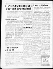 Síða 2