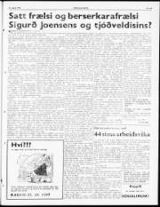 Síða 3