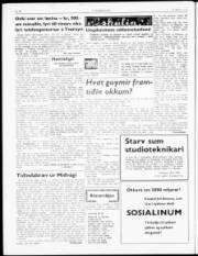 Síða 4