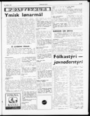 Síða 3