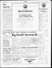 Síða 5