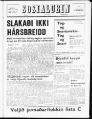 Síða 1