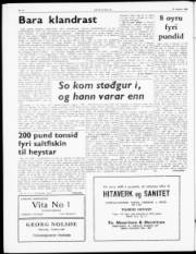 Síða 2