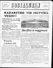 Síða 1