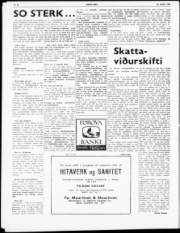 Síða 6