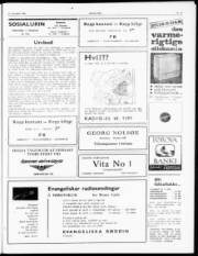 Síða 3