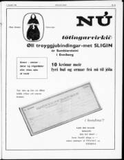 Síða 3