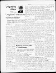Síða 4