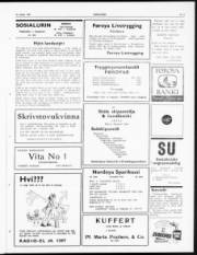 Síða 3