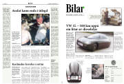Síða 10