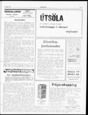 Síða 3