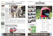 Síða 11