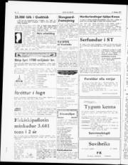 Síða 4