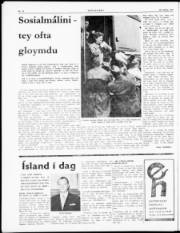 Síða 8