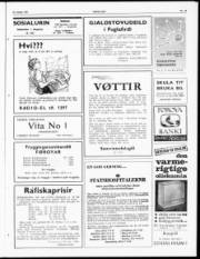 Síða 3