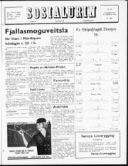 Síða 1
