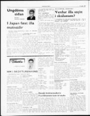 Síða 4