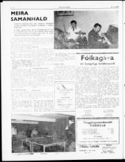 Síða 2
