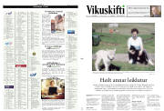 Síða 13