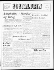 Síða 1