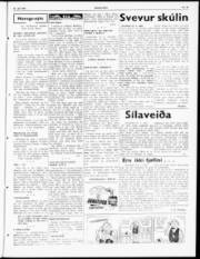 Síða 7