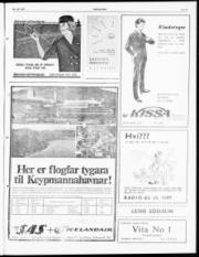 Síða 3
