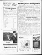 Síða 3