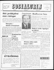 Síða 1