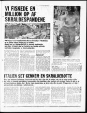 Síða 3