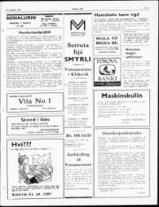 Síða 3