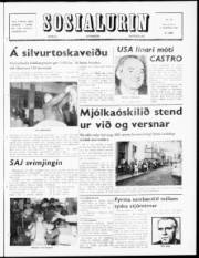 Síða 1