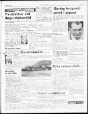 Síða 7
