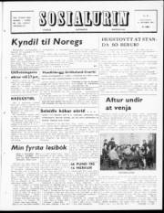 Síða 1
